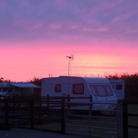 Marshland Alpacas Glamping Lodge New Holland Kültér fotó