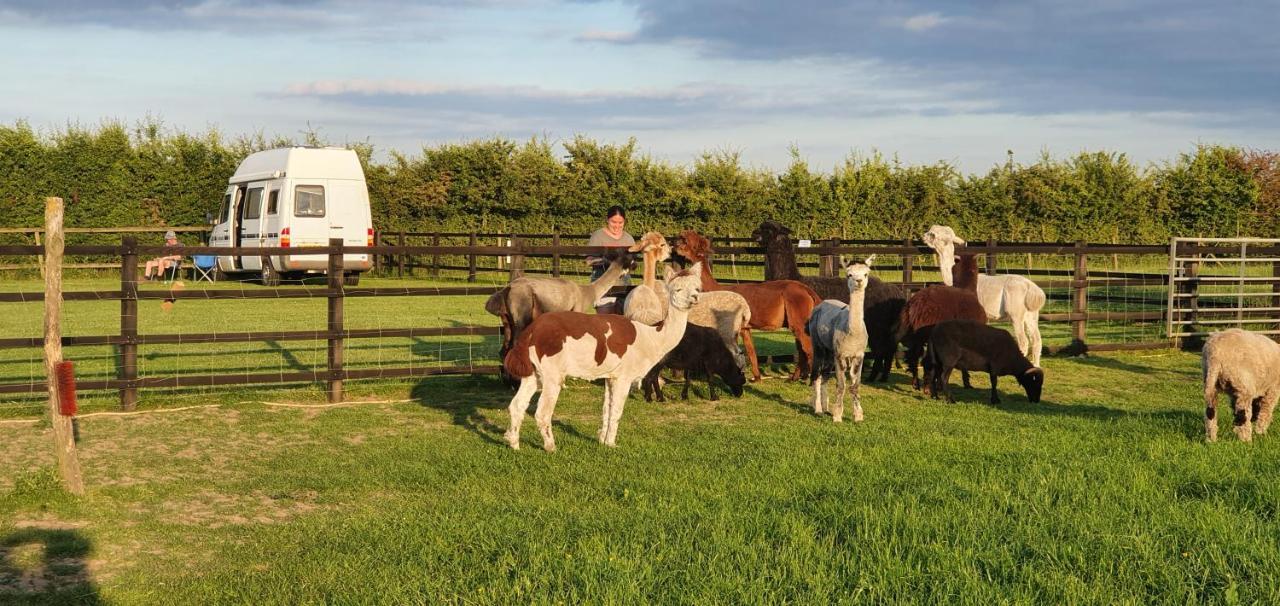Marshland Alpacas Glamping Lodge New Holland Kültér fotó